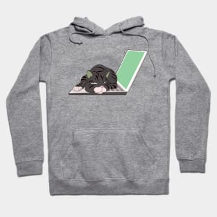 cat sleeping on laptop Hoodie